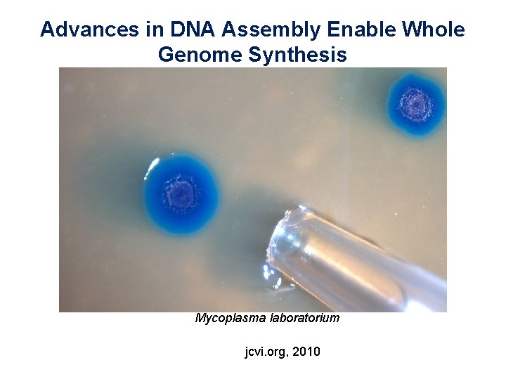 Advances in DNA Assembly Enable Whole Genome Synthesis Mycoplasma laboratorium jcvi. org, 2010 