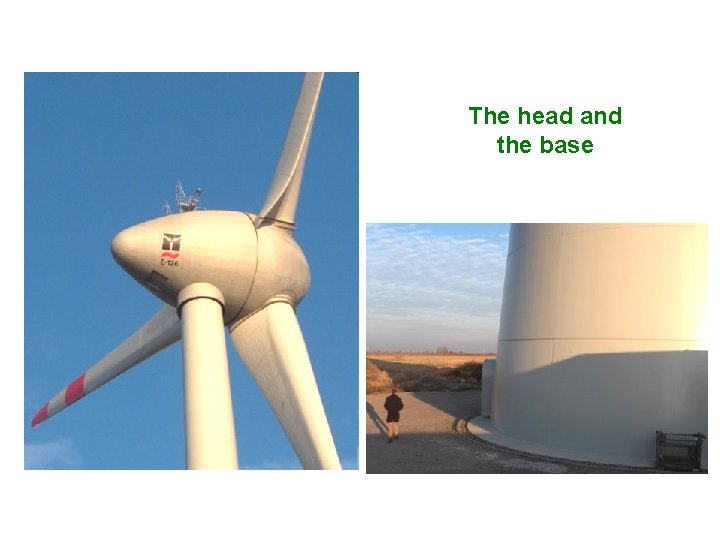 The head and the base 