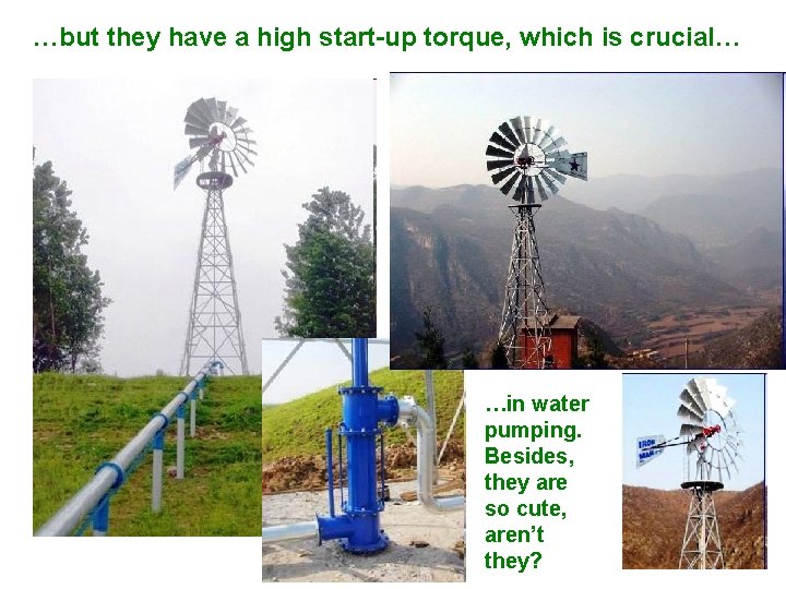 …but they have a high start-up torque, which is crucial… …in water pumping. Besides,
