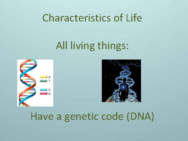 Characteristics of Life All living things: Have a genetic code (DNA) 