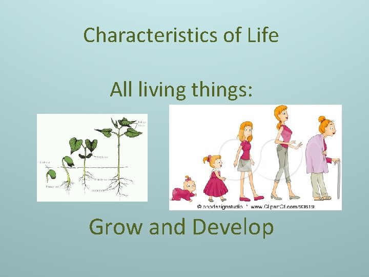 Characteristics of Life All living things: Grow and Develop 