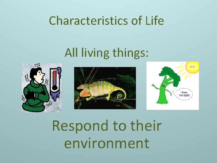 Characteristics of Life All living things: Respond to their environment 