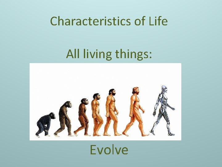 Characteristics of Life All living things: Evolve 