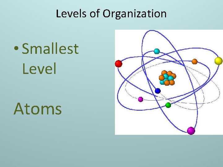 Levels of Organization • Smallest Level Atoms 