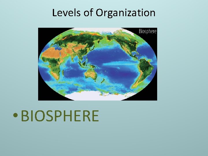 Levels of Organization • BIOSPHERE 