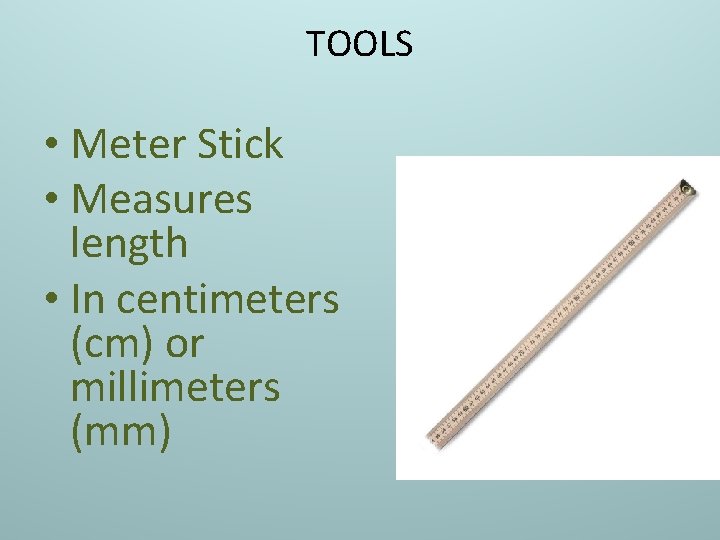 TOOLS • Meter Stick • Measures length • In centimeters (cm) or millimeters (mm)