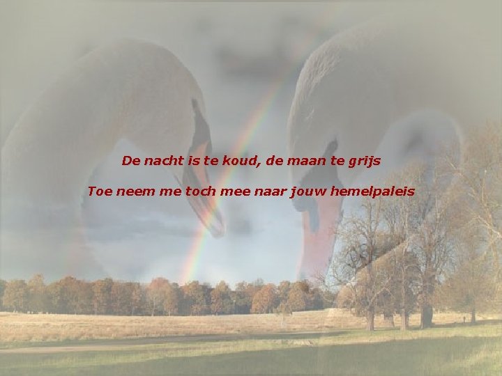 De nacht is te koud, de maan te grijs Toe neem me toch mee