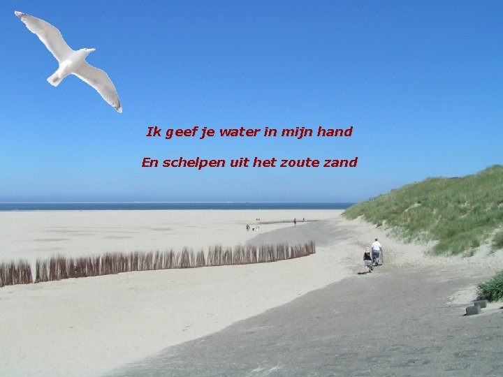 Ik geef je water in mijn hand En schelpen uit het zoute zand 