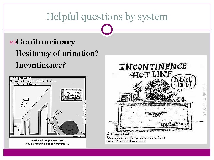 Helpful questions by system Genitourinary Hesitancy of urination? Incontinence? 