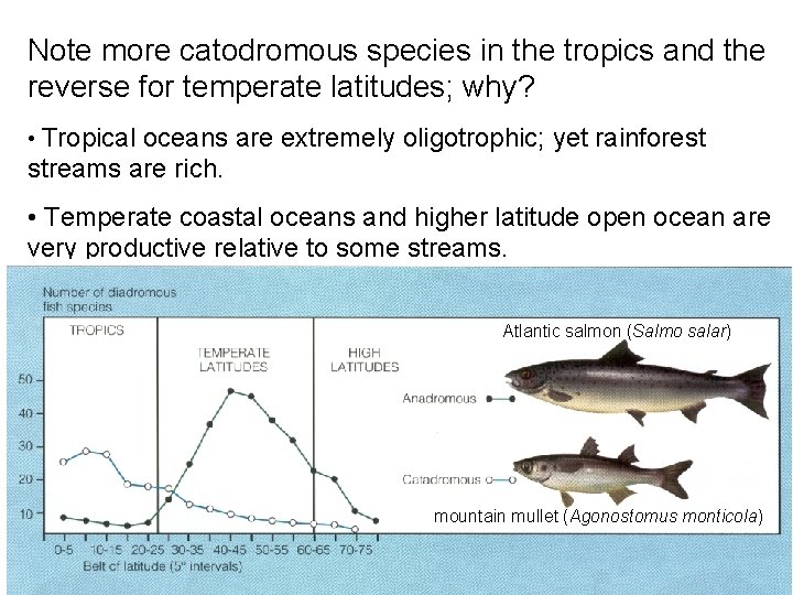 Note more catodromous species in the tropics and the reverse for temperate latitudes; why?