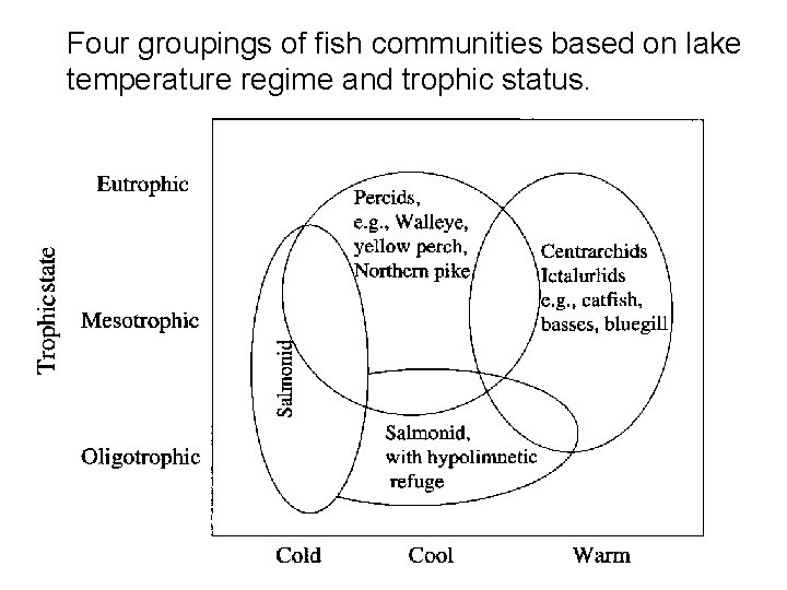 Four groupings of fish communities based on lake temperature regime and trophic status. 