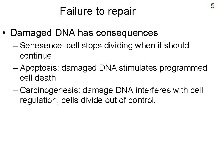 Failure to repair • Damaged DNA has consequences – Senesence: cell stops dividing when
