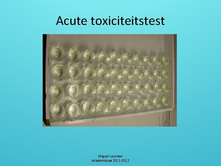 Acute toxiciteitstest Miguel Leuridon Academiejaar 2011 -2012 