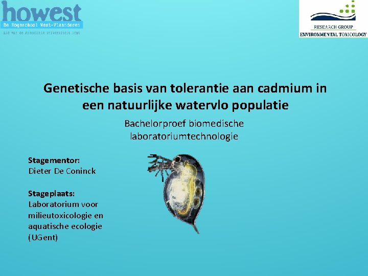 Genetische basis van tolerantie aan cadmium in een natuurlijke watervlo populatie Bachelorproef biomedische laboratoriumtechnologie