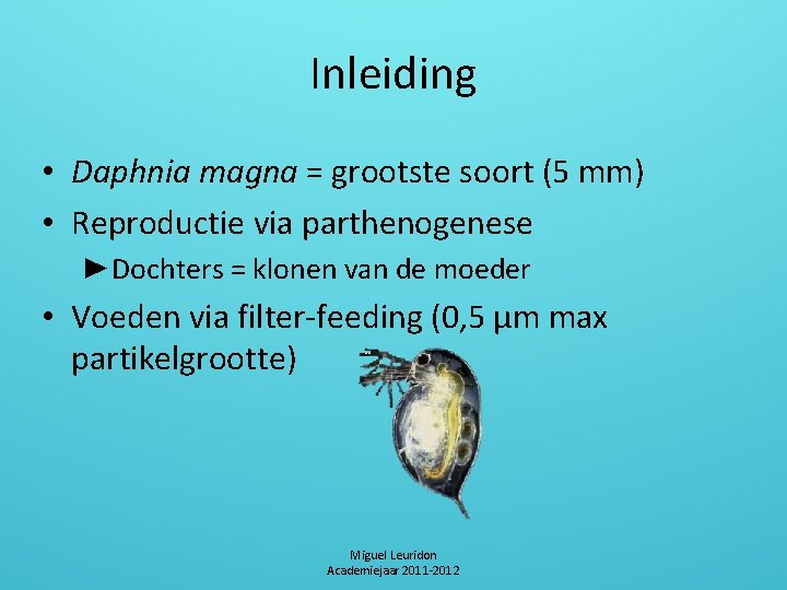 Inleiding • Daphnia magna = grootste soort (5 mm) • Reproductie via parthenogenese ►Dochters