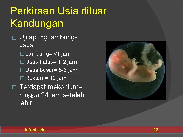 Perkiraan Usia diluar Kandungan � Uji apung lambungusus � Lambung= <1 jam � Usus