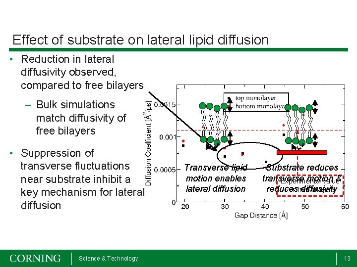 Effect of substrate on lateral lipid diffusion • Reduction in lateral diffusivity observed, compared