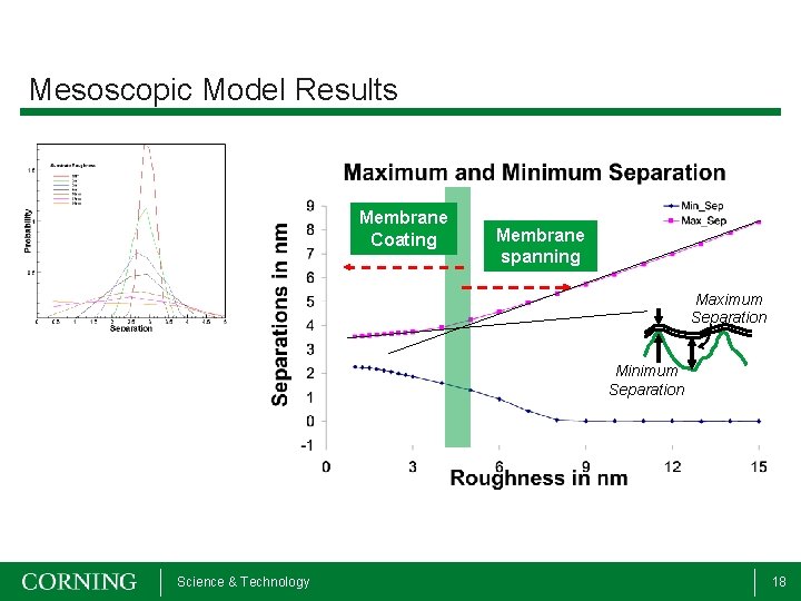 Mesoscopic Model Results Membrane Coating Membrane spanning Maximum Separation Minimum Separation Science & Technology