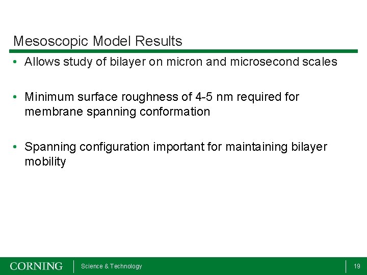 Mesoscopic Model Results • Allows study of bilayer on micron and microsecond scales •