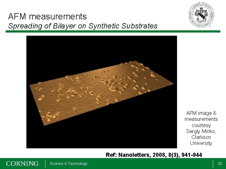 AFM measurements Spreading of Bilayer on Synthetic Substrates AFM image & measurements courtesy Sergiy