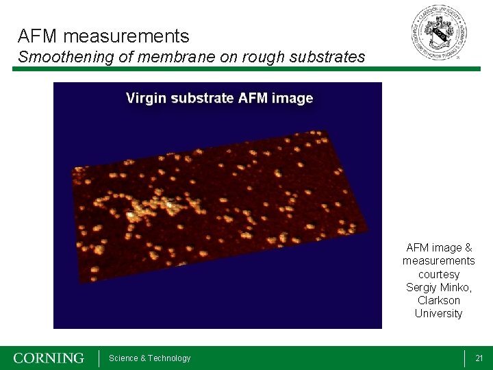 AFM measurements Smoothening of membrane on rough substrates AFM image & measurements courtesy Sergiy