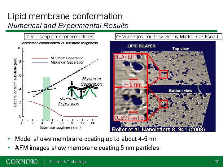 Lipid membrane conformation Numerical and Experimental Results Macroscopic model predictions AFM images courtesy Sergiy