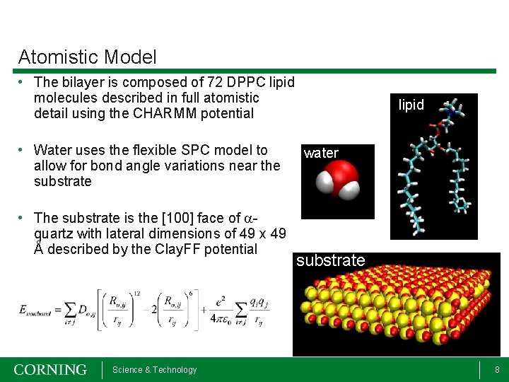 Atomistic Model • The bilayer is composed of 72 DPPC lipid molecules described in
