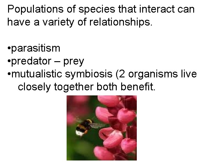 Populations of species that interact can have a variety of relationships. • parasitism •