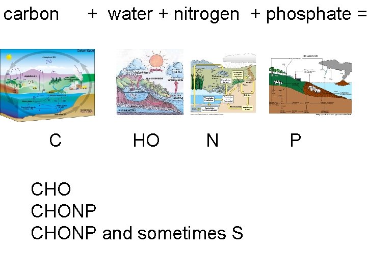 carbon C + water + nitrogen + phosphate = HO N CHONP and sometimes