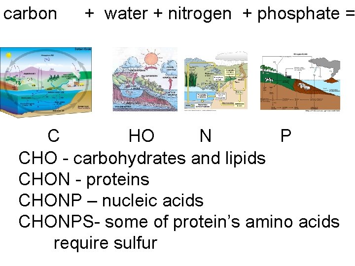 carbon + water + nitrogen + phosphate = C HO N P CHO -