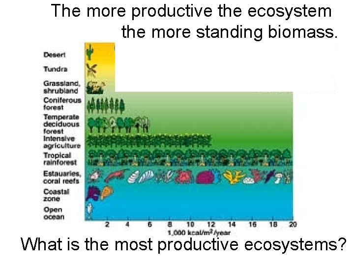 The more productive the ecosystem the more standing biomass. What is the most productive