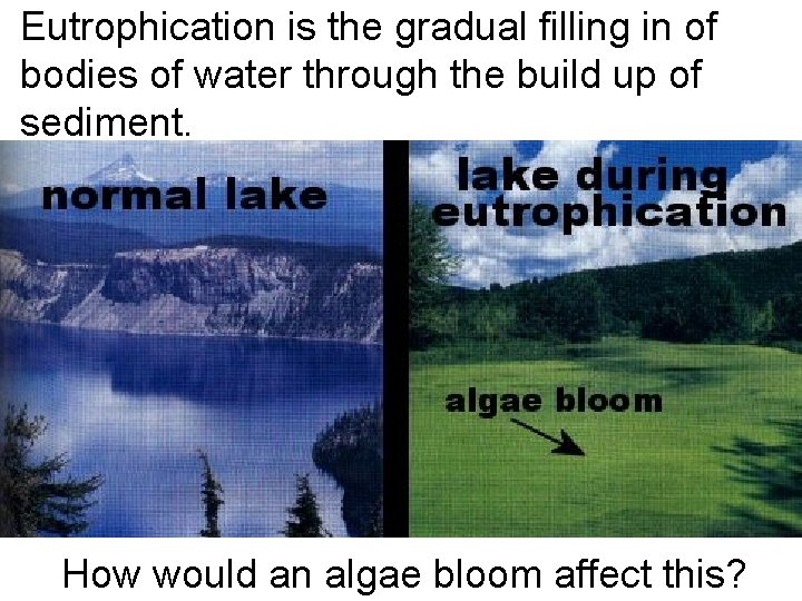 Eutrophication is the gradual filling in of bodies of water through the build up
