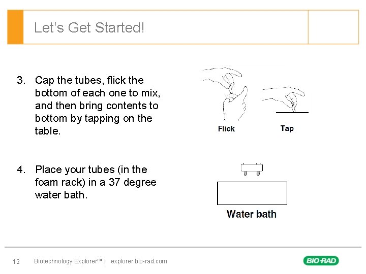 Let’s Get Started! 3. Cap the tubes, flick the bottom of each one to