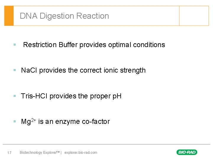DNA Digestion Reaction § Restriction Buffer provides optimal conditions § Na. CI provides the