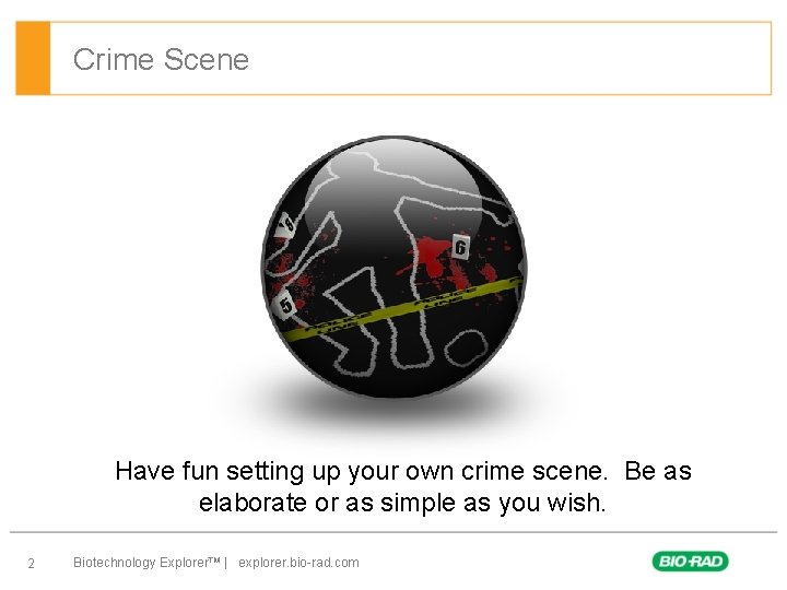 Crime Scene Have fun setting up your own crime scene. Be as elaborate or