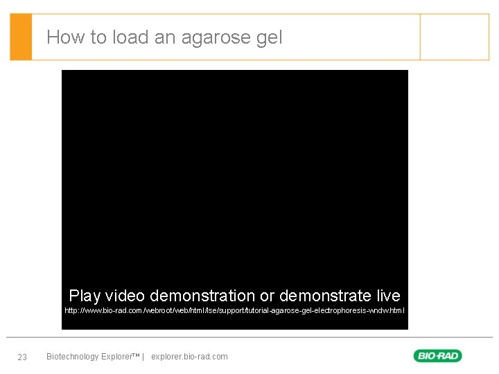 How to load an agarose gel Play video demonstration or demonstrate live http: //www.
