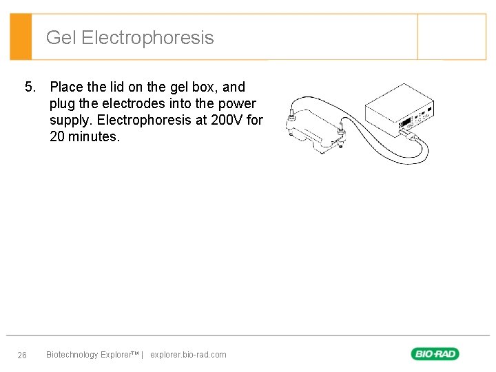 Gel Electrophoresis 5. Place the lid on the gel box, and plug the electrodes