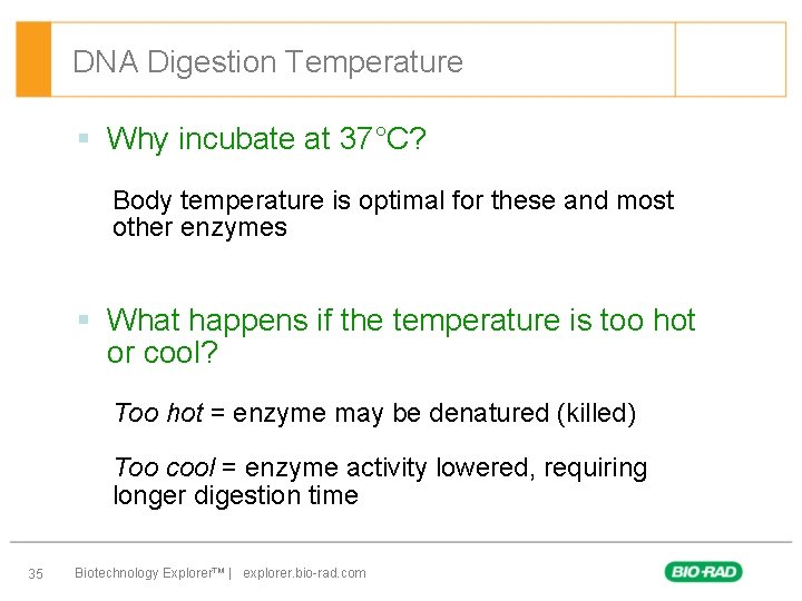 DNA Digestion Temperature § Why incubate at 37°C? Body temperature is optimal for these