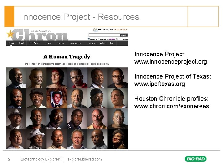 Innocence Project - Resources Innocence Project: www. innocenceproject. org Innocence Project of Texas: www.
