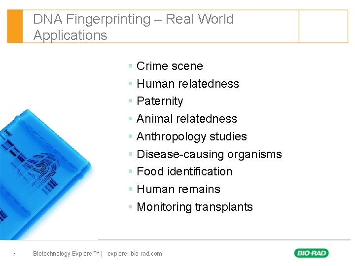 DNA Fingerprinting – Real World Applications § Crime scene § Human relatedness § Paternity