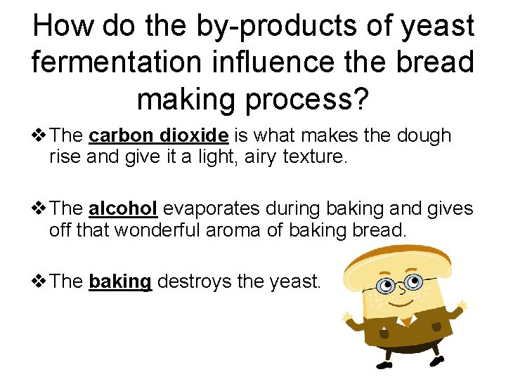 How do the by-products of yeast fermentation influence the bread making process? v The