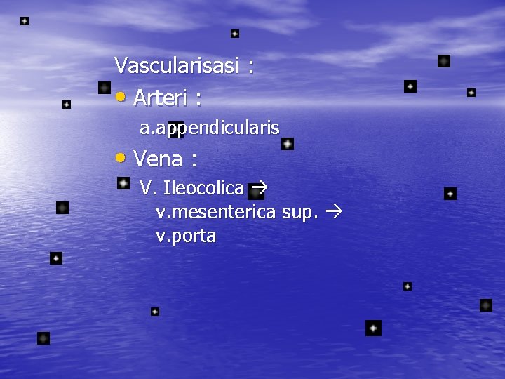 Vascularisasi : • Arteri : a. appendicularis • Vena : V. Ileocolica v. mesenterica