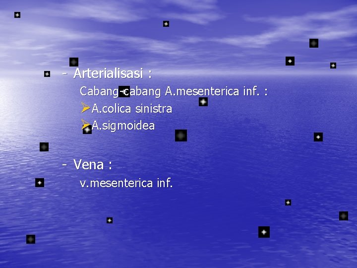 - Arterialisasi : Cabang-cabang A. mesenterica inf. : ØA. colica sinistra ØA. sigmoidea -