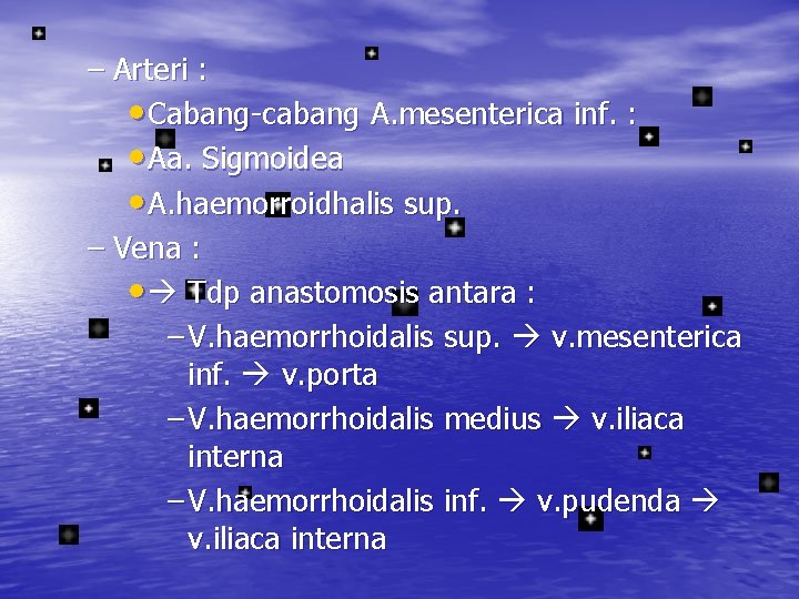 – Arteri : • Cabang-cabang A. mesenterica inf. : • Aa. Sigmoidea • A.