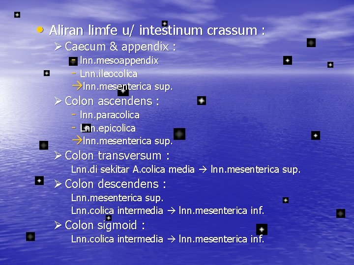  • Aliran limfe u/ intestinum crassum : Ø Caecum & appendix : -