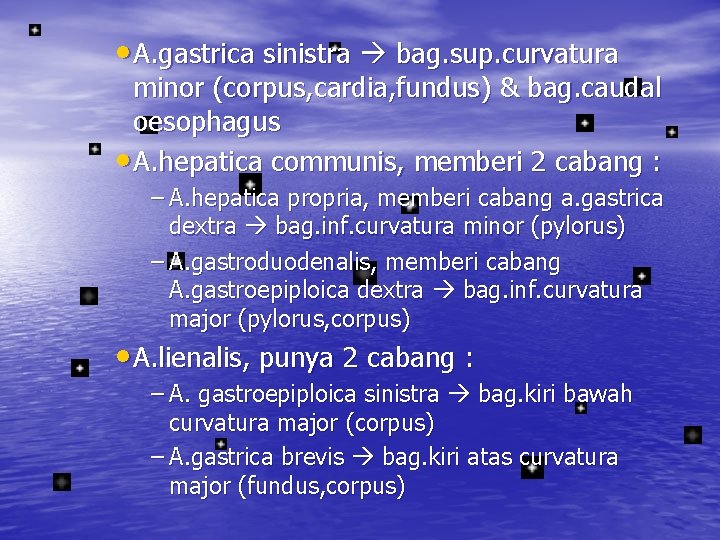  • A. gastrica sinistra bag. sup. curvatura minor (corpus, cardia, fundus) & bag.