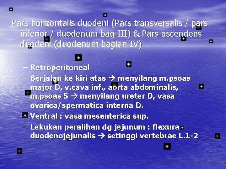 Pars horizontalis duodeni (Pars transversalis / pars inferior / duodenum bag III) & Pars