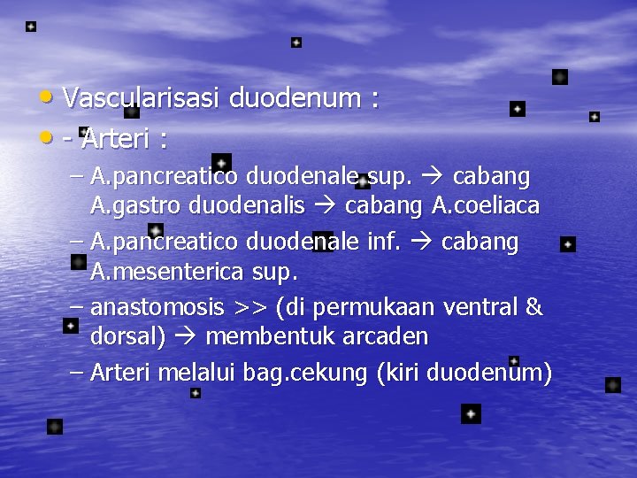  • Vascularisasi duodenum : • - Arteri : – A. pancreatico duodenale sup.