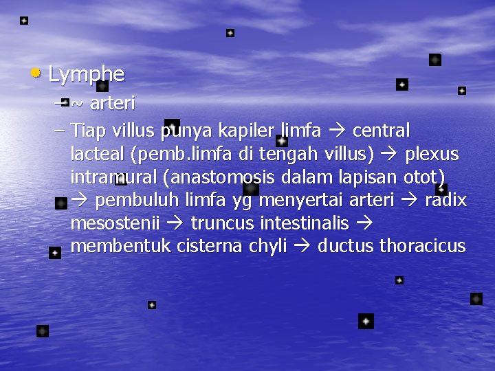  • Lymphe – ~ arteri – Tiap villus punya kapiler limfa central lacteal