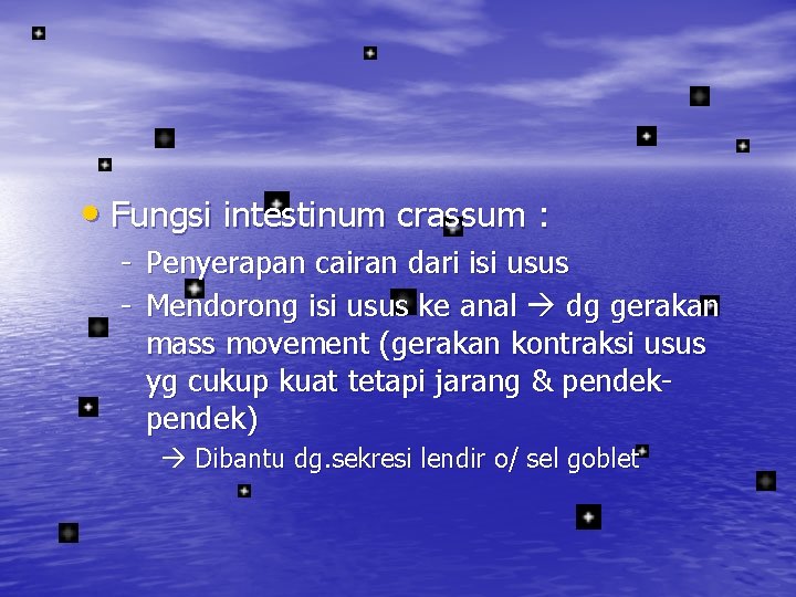  • Fungsi intestinum crassum : - Penyerapan cairan dari isi usus - Mendorong